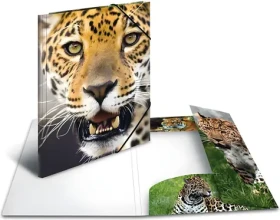 Herma Desky s gumičkou Leopard A4 / Desky s gumičkou / Polypropylen / Vícebarevné (7137)