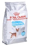 Royal Canin Mini Urinary Care 3 kg