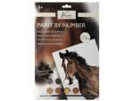 Malování podle čísel Kůň v ohradě