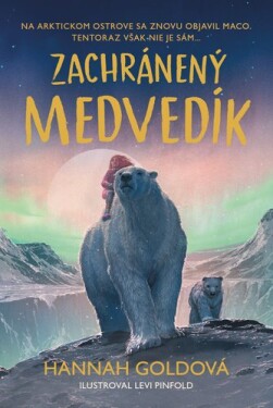 Zachránený medvedík - Hannah Goldová