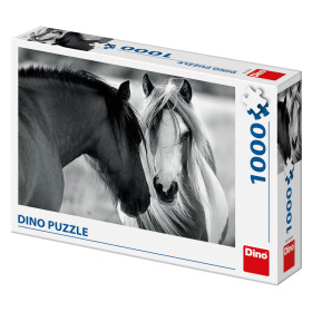 Koně 1000