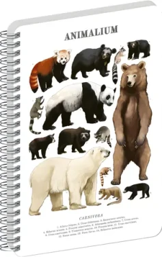 NOTIQUE Animalium Medvědovité šelmy / Spirálový blok / A4 / čistý
