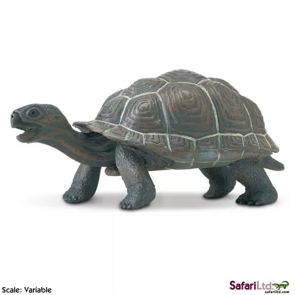 Safari Ltd. Safari Ltd. Mládě želvy galapážské