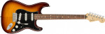 Fender Player Stratocaster Plus Top