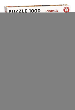 Puzzle Cihly 1000 dílků