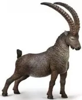 Collecta Wapiti