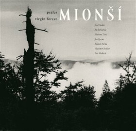 Prales Mionší (poškozená)