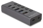 DeLock USB Hub 5 Gbps šedá / USB hub / 2× USB-A + 2× USB-C / host USB-C (64248)