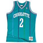 Mitchell & Ness Pánský dres Charlotte Hornets NBA Larry Johnson #2 1992-93 Swingman Velikost: L