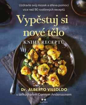 Vypěstuj si nové tělo - Kniha receptů - Alberto Villoldo