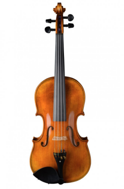 Violin Schönbach - Golden Brown - Housle