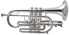 Getzen 800 S Eterna