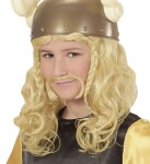 R-Kontakt.cz Dětská paruka Asterix