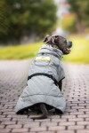 BullFit zimní bunda pro psa Barva: Šedá, Délka zad (cm): 37, Obvod hrudníku: 54 - 60 cm