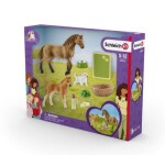 Schleich Horse Club 42432 Sarah - sada na ošetřování mláďat