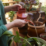 HAWS Konvička na zalévání Fazeley Flow Terracotta Orange – 700 ml, červená barva, kov