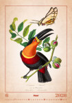 Nástěnný kalendář 2026 Helma - Aviarium, 31,5 x 45 cm
