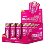 Amix CarniShot 3000 20 x 60 ml mojito (15613)