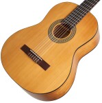 Ortega RSTC5M-L