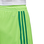 Pánské kraťasy Regista 18 Short CF9598 Adidas