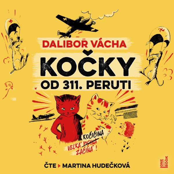 Kočky od 311. peruti - Dalibor Vácha - audiokniha