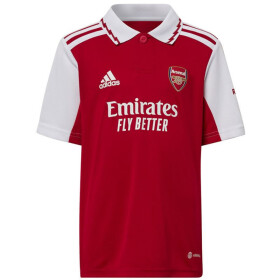 Dětské domácí polo tričko Arsenal Adidas 104 cm