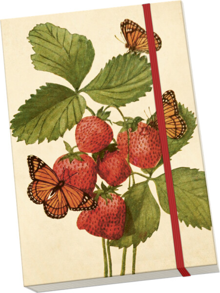 Notýsek Strawberry Butterfly