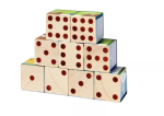 PlanToys PlanToys Obrázkové kostky - Zvířata