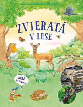 Zvieratá v lese (slovensky) - Friederun Reichenstetter