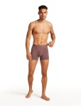 Pánské merino boxerky ICEBREAKER Mens 125 ZoneKnit Boxers, Carob velikost: S