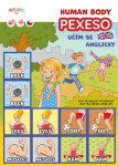Pexeso Human Body