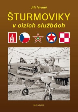 Šturmoviky cizích službách