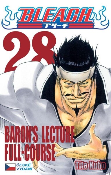 Bleach 28: