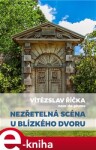 Nezřetelná scéna u blízkého dvoru - Vítězslav Říčka e-kniha