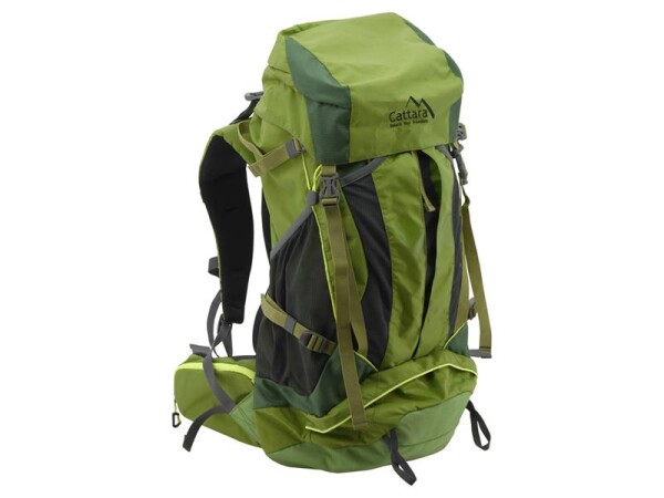 Cattara 45l green