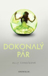 Dokonalý pár (poškozená) - Ally Condieová
