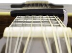 D'Addario PW-CP-19S