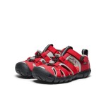 Dětské sandály KEEN SEACAMP II CNX ribbon red/alloy - 31