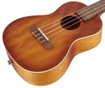 Ortega RUDAWN-L