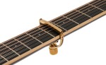 G7th Heritage 2 12-String Guitar Gold