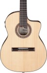 Ibanez GA360TCE NT