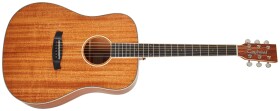 Tanglewood TUN 5