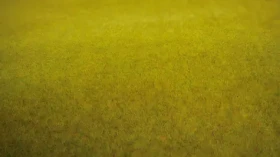NOCH Travní koberec Letní louka
