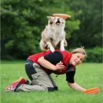 TRIXIE Házecí disk pro psy / Frisbee / Guma / 19 cm (G14-33561)