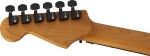 Charvel Pro-Mod Plus Dinky DK24 HH FR EB Crimson Eclipse