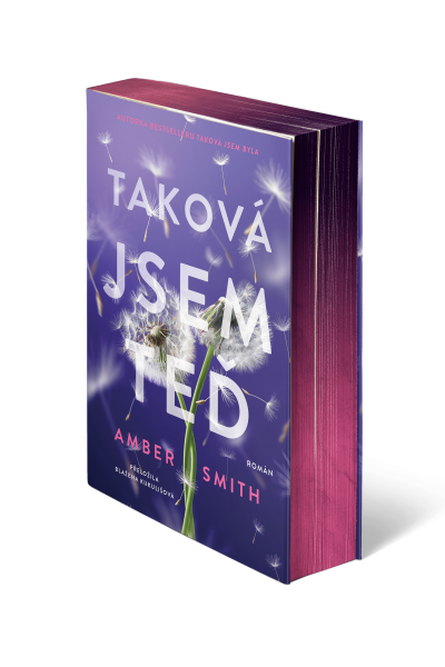 Taková jsem teď - Amber Smith