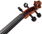 Eastman Albert Nebel Series+ Violin 4/4 (VL601G+)