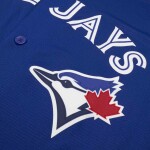 Nike Pánský dres Toronto Blue Jays MLB Alternate Velikost: L