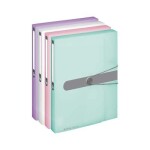 Box na spisy s gumičkou Herlitz easy orga A4, 4 cm, PP - transparent rose