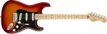 Fender Player Stratocaster Plus Top MN ACB (použité)